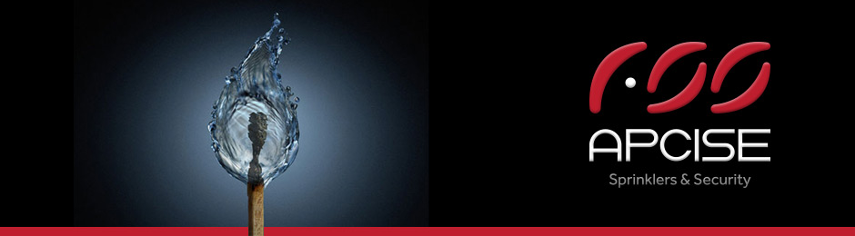 iD Creativa - Portafolio Logotipo