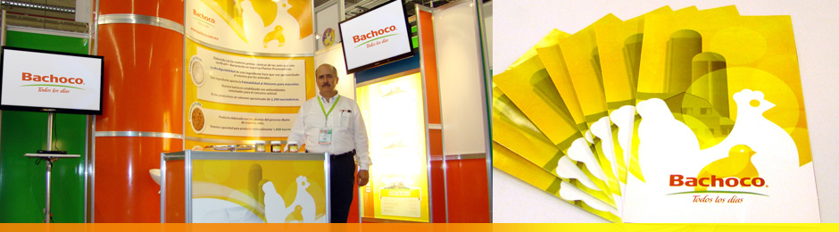 iD Creativa - Portafolio Logotipo