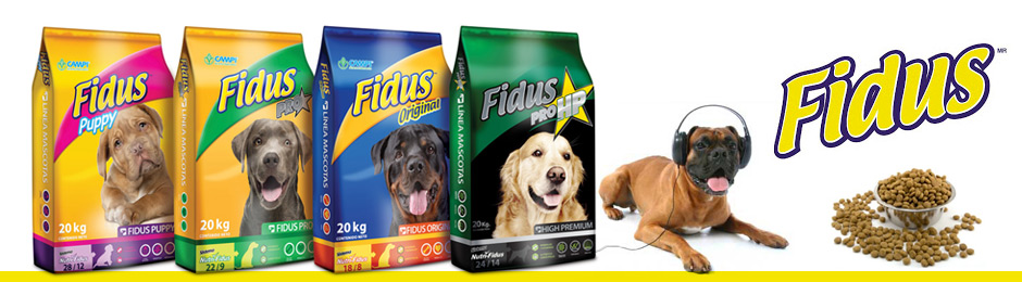 iD Creativa - Portafolio Profesional